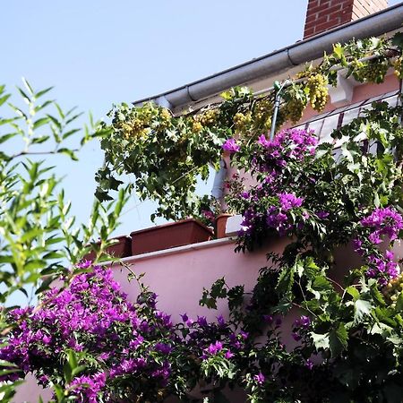 Apartments By The Sea Mali Losinj Veli Losinj Luaran gambar
